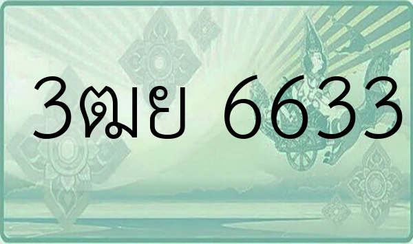 3ฒย 6633